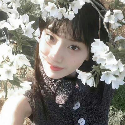 提剑映桃花